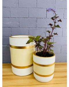 Export Quality Clay Pots (S/M/L) - White, Gold, Cream