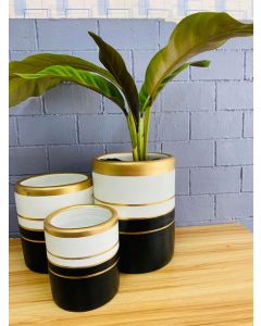 Export Quality Clay Pots - Gold, White, Black
