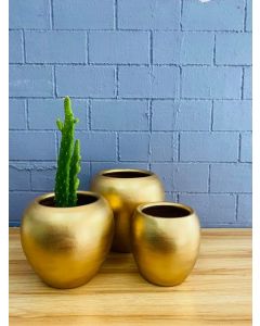 Export Quality Clay Pots Egg Shaped (S/M/L) - Gold 