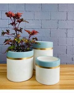 Export Quality Clay Pots (S/M/L) - Light blue, Gold, White