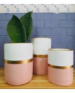 Cylindrical Exports Quality Clay Pots (S/M/L) - White, Gold, Pink