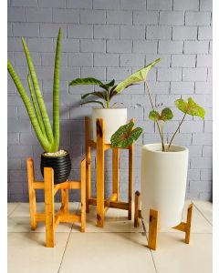 Wooden Plant Stand Set Natural finish (S/M/L)