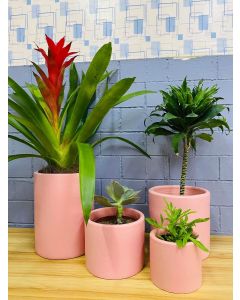 Export Quality Clay Pots (XS/S/M/L) - Pink solid color