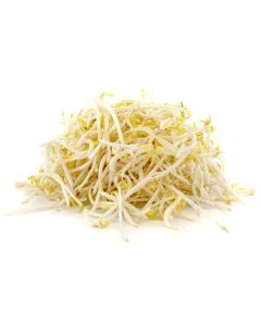 Bean Sprouts 500g