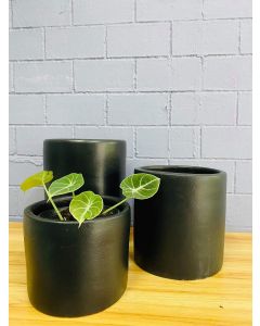 Export Quality Clay Pots (S/M/L) - Black Solid Color