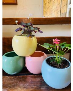 Egg shaped Pastel Colored Clay Pots 6.5" x 8"